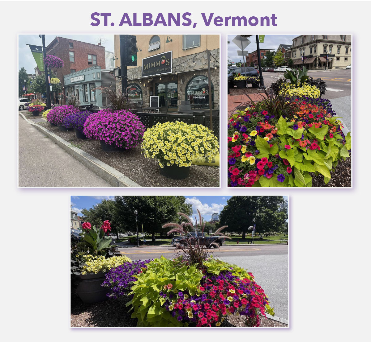 St Albans