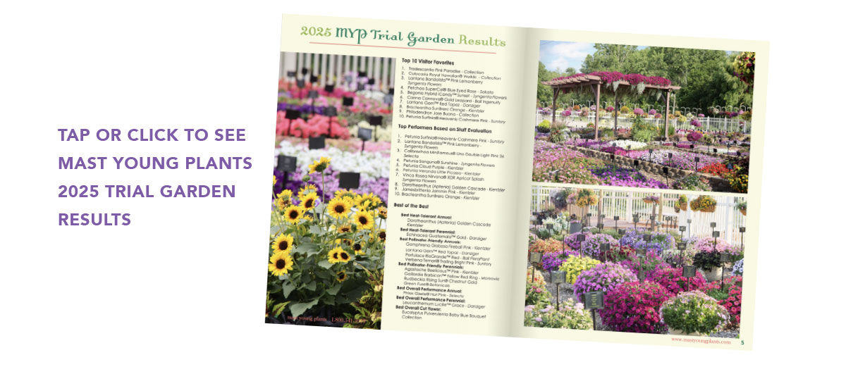 Mast Young Plants 2025 Trial Garden Results