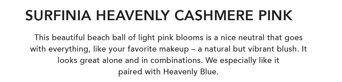 SURFINIA® Heavenly Cashmere Pink