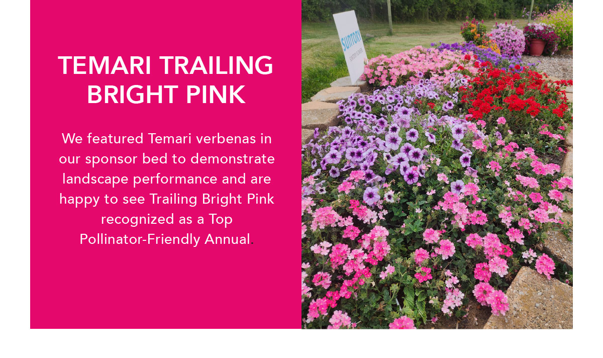 Temari Trailing