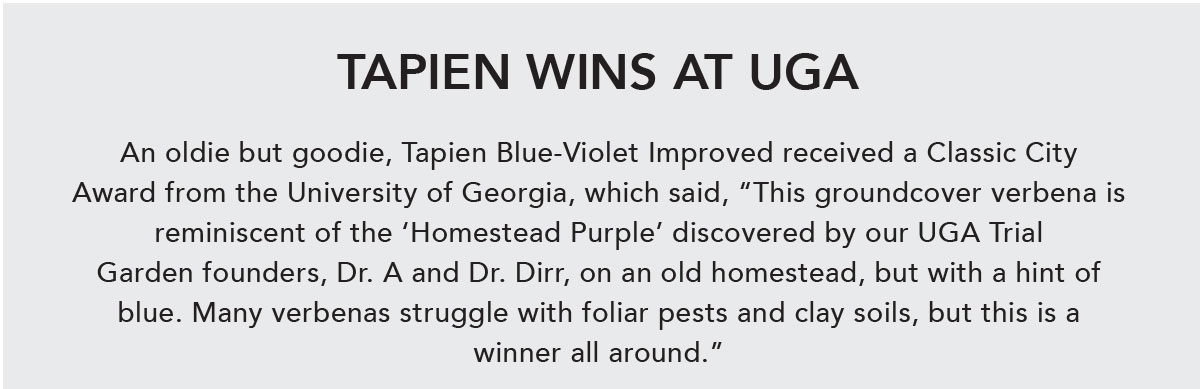 Tapien Wins