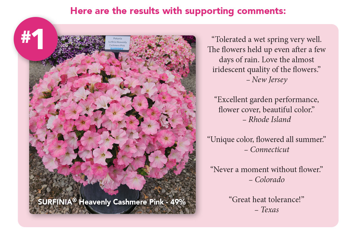 #1 - 49%  SURFINIA® Heavenly Cashmere Pink