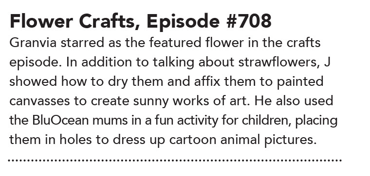 Episode 708