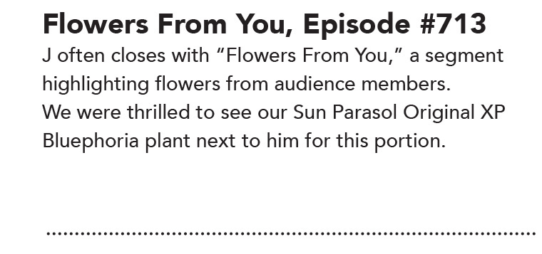 Episode 713