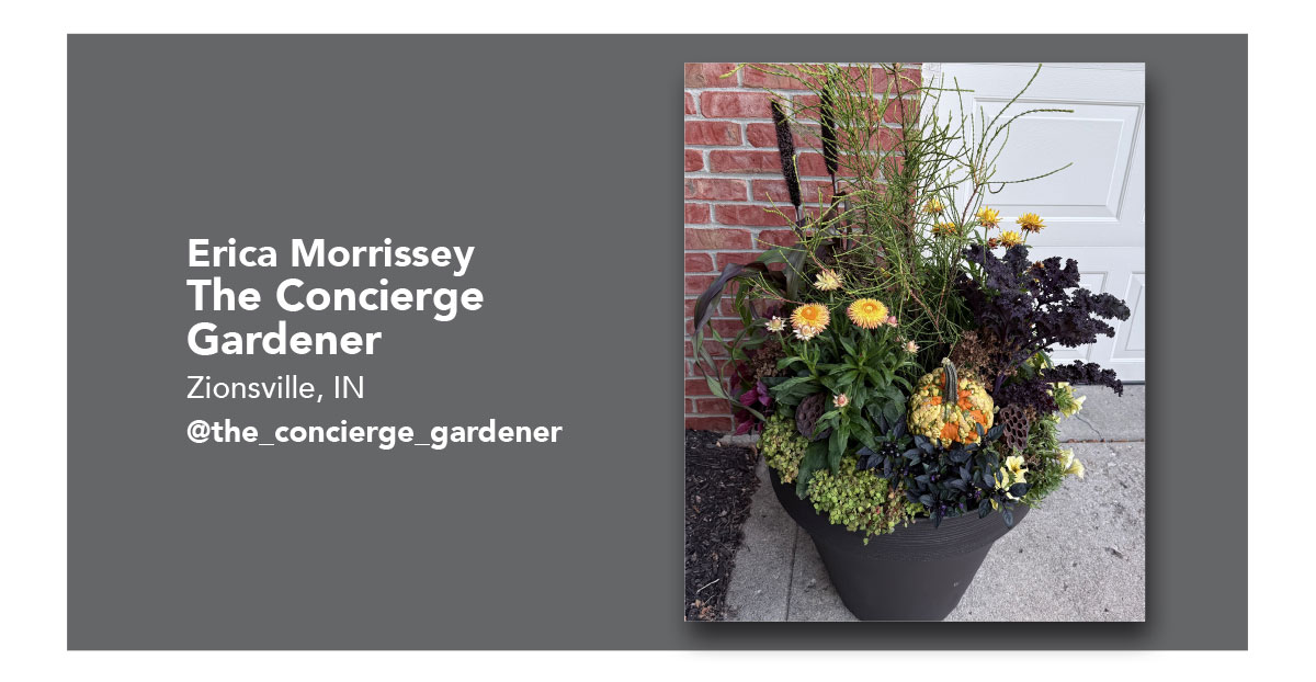 @the_concierge_gardener_
