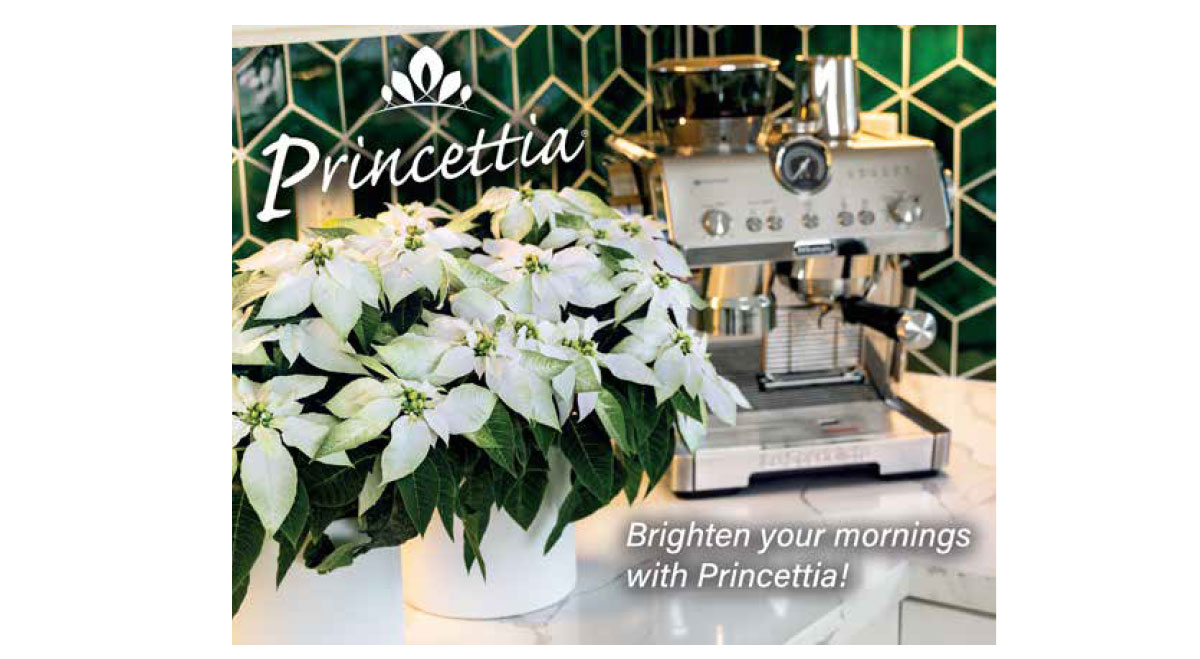 Princettia Coffee Break poster