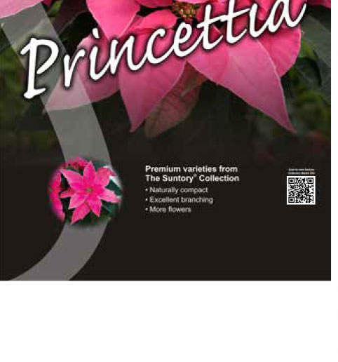 Princettia poster