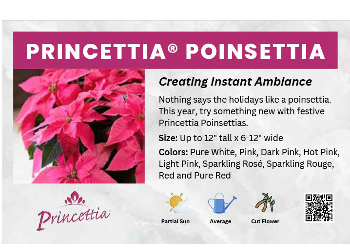 Princettia Bench Card Garden Style