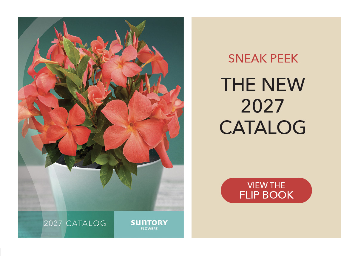 View the 2027 Suntory Flowers Catalog FlipBook Online