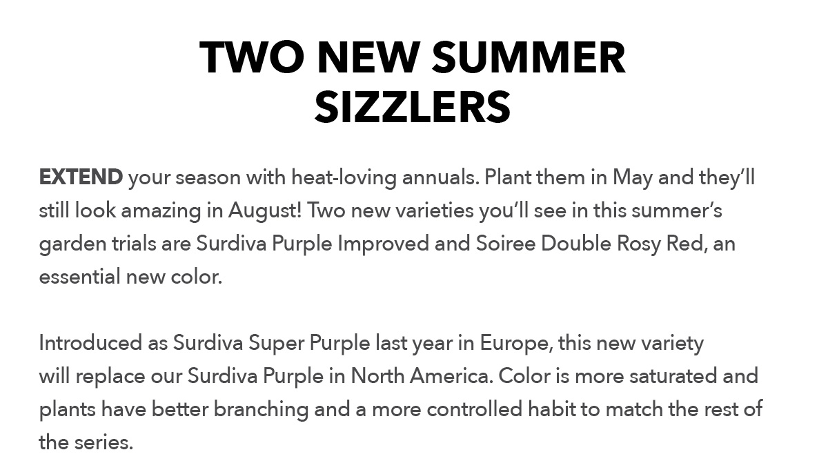 Two new summer sizzlers