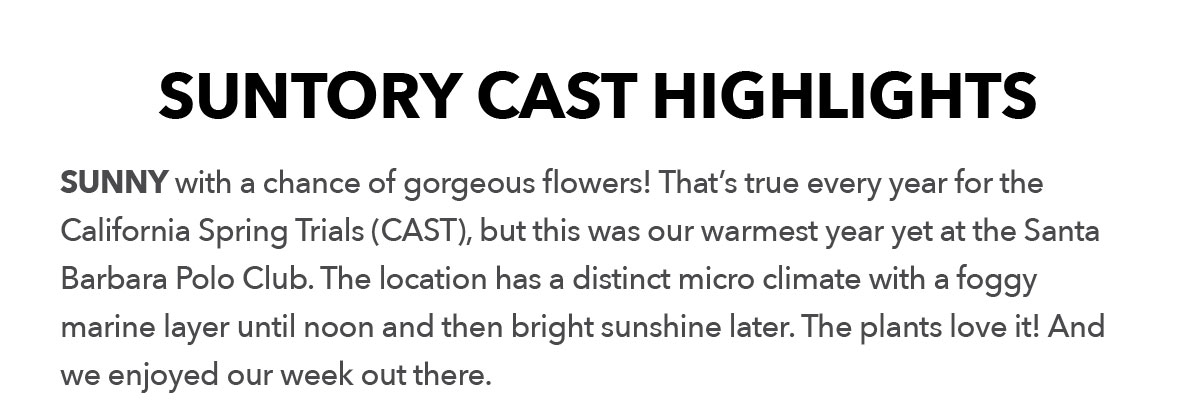 Suntory CAST highlights