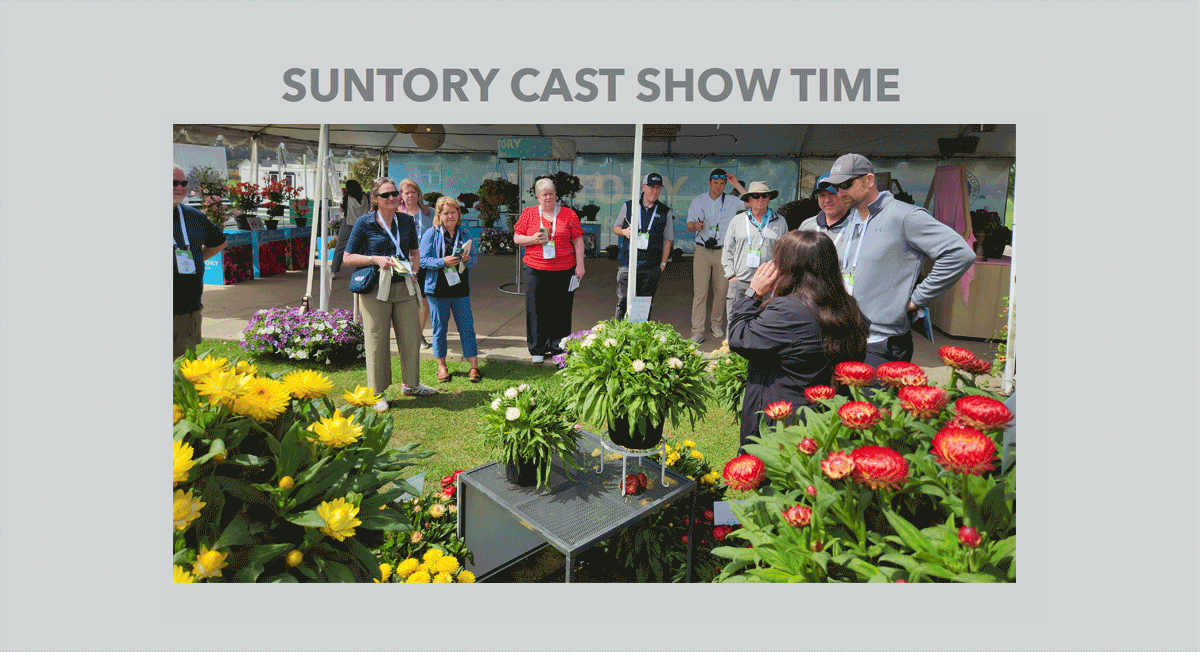 Suntory CAST Showtime