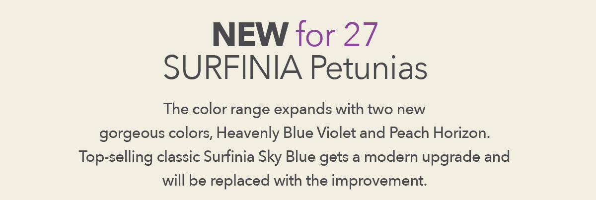 SURFINIA petunias