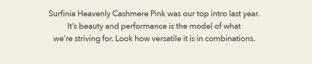 Heavenly Cashmere Pink
