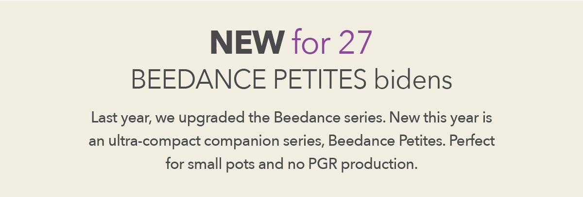 Beedance Petites