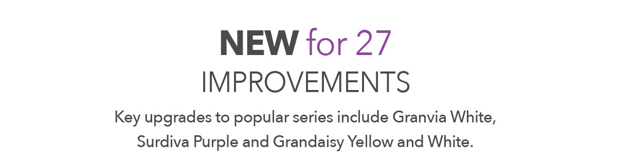 New for 2027