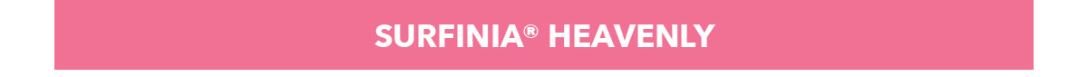 Surfinia Heavenly Series