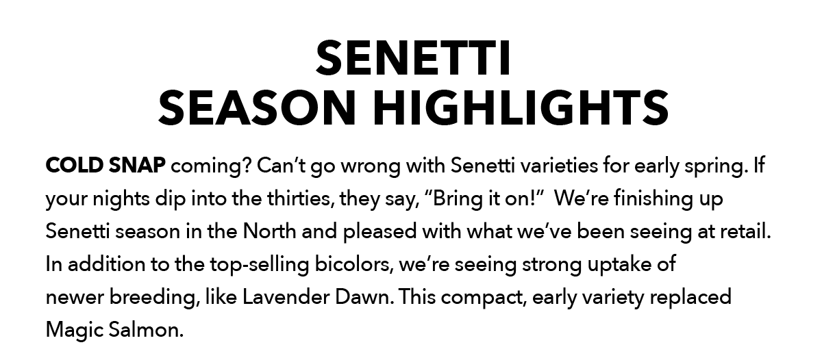 SENETTI® Series