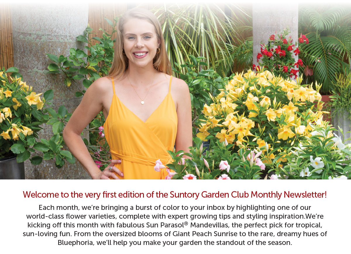 Welcome to the very first edition of the Suntory Garden Club Monthly Newsletter!