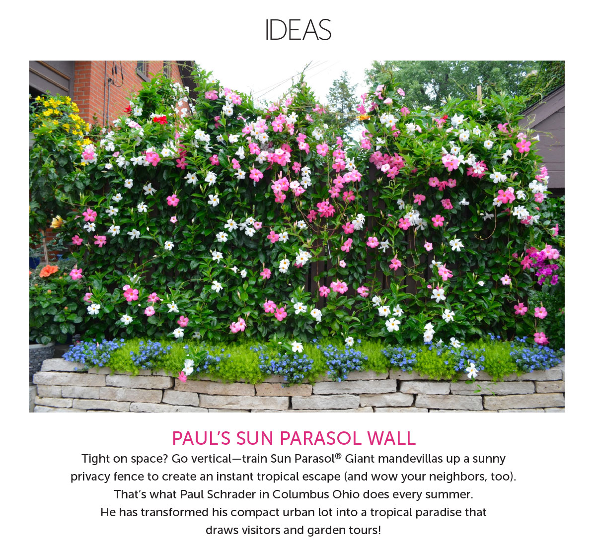 Ideas - Paul’s Sun Parasol wall