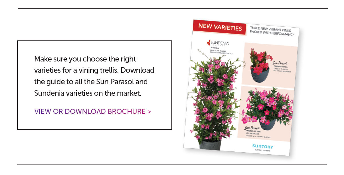 Download Brochure PDF