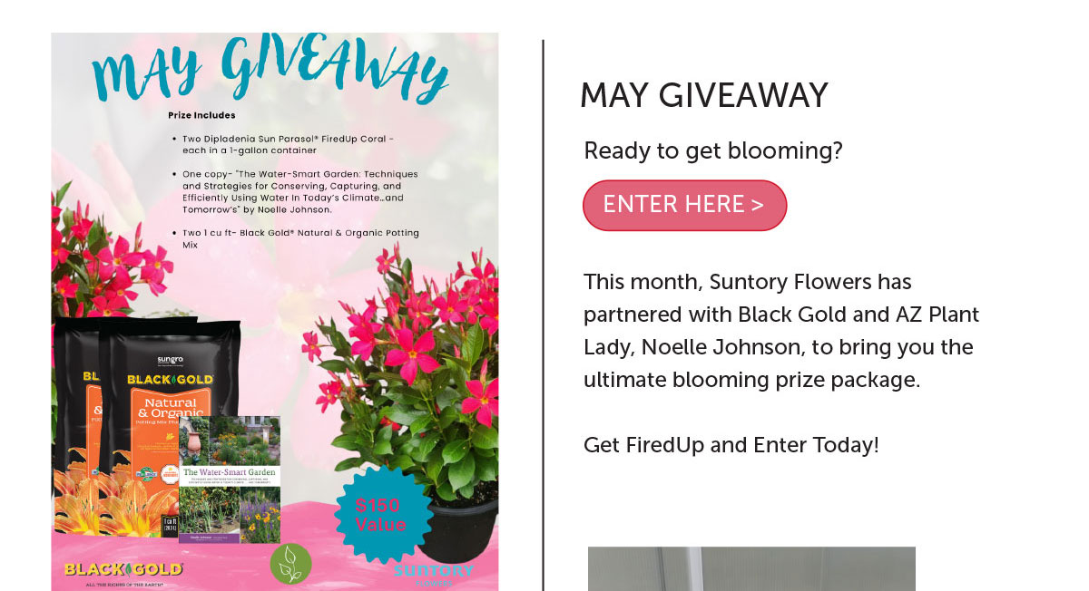 May Giveaway Enter Here