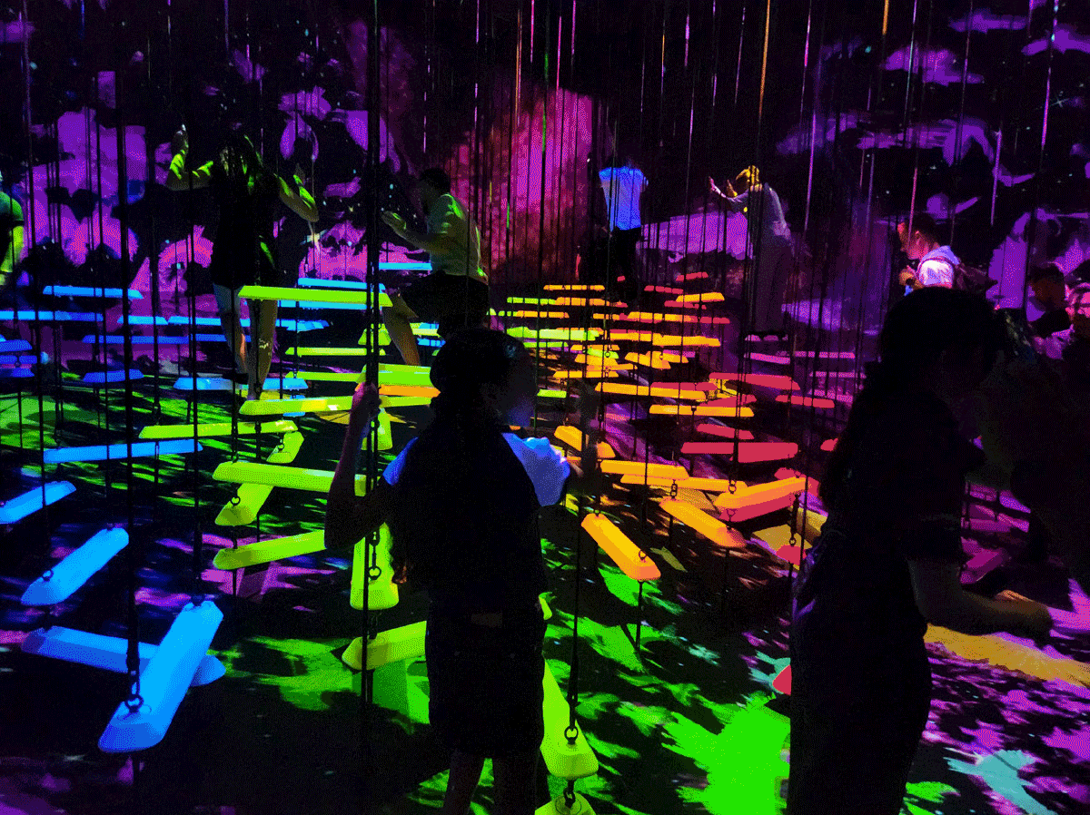 TeamLab Planets TOKYO, Toyosu