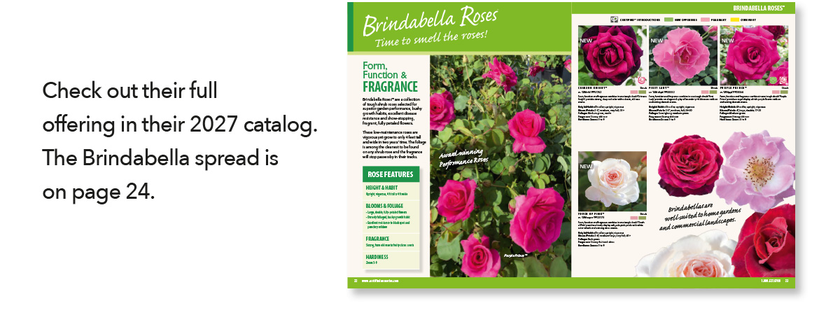 Certified Nurseries Catalog