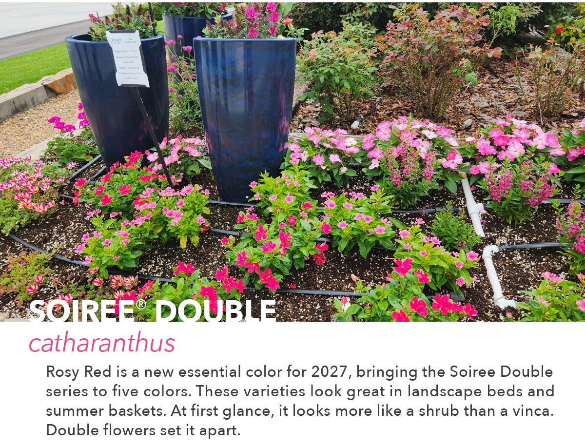 SOIREE® DOUBLE Series