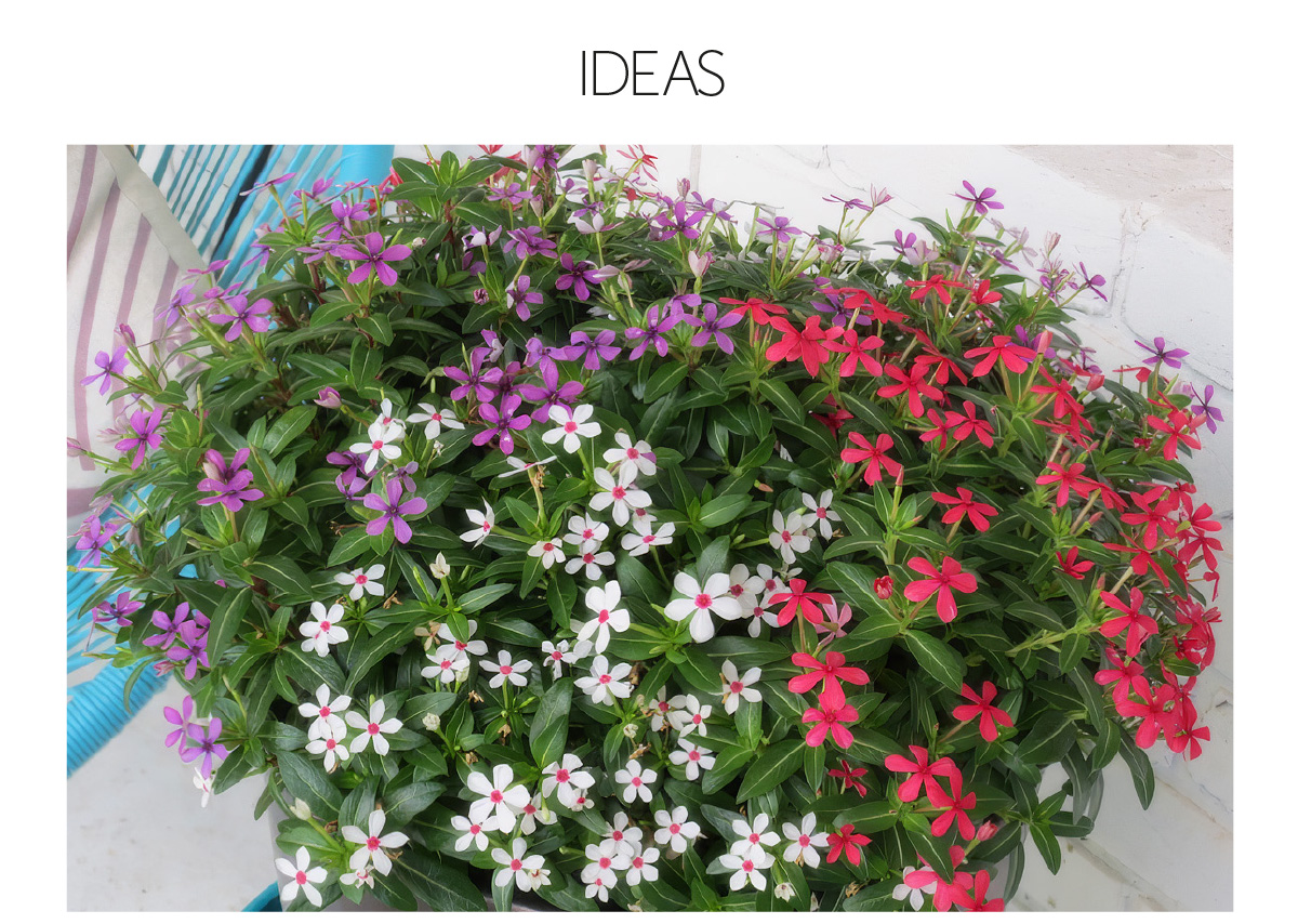 Ideas