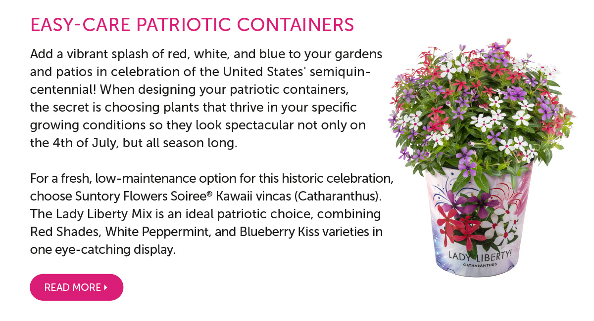 Container Ideas