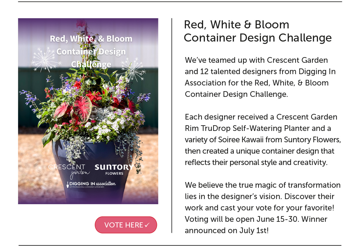 VOTE HERE: Container Challenge