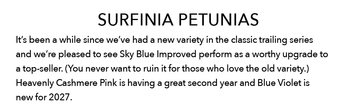 SURFINIA petunias