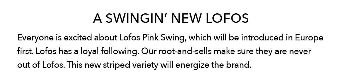 Lofos® Pink Swing