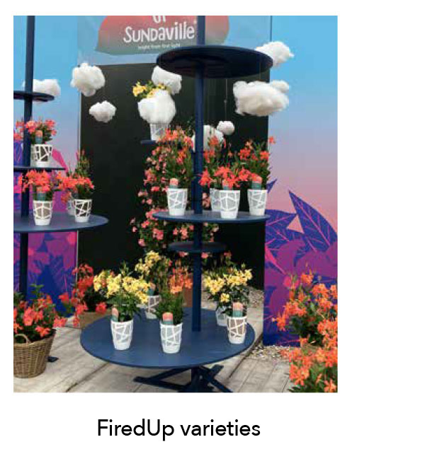 SUN PARASOL® FIREDUP®
