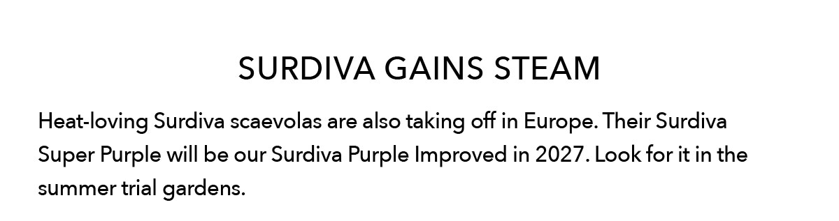 SURDVIVA