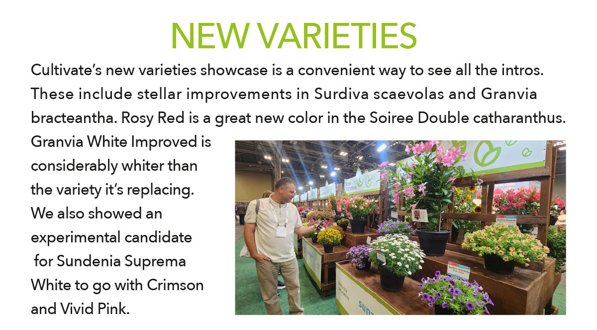 New Varieties