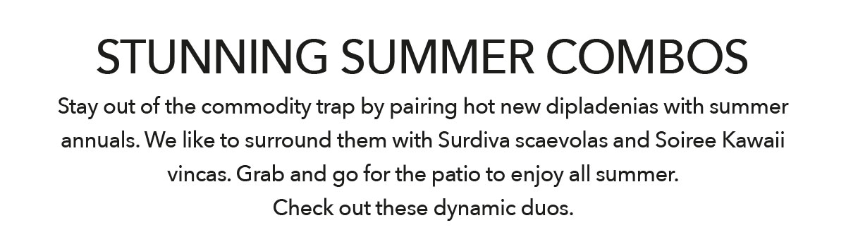 Stunning Summer Combos